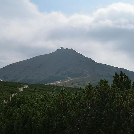 Penzion Lesni Pramen Pec pod Sněžkou Kültér fotó